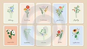 Floral card backgrounds set. Delicate spring flowers. summer wildflowers. Botanical framed poster design. Gentle blooms