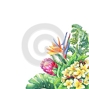 Floral card with branches purple Protea flowers, plumeria, strelitzia and tropical plants.