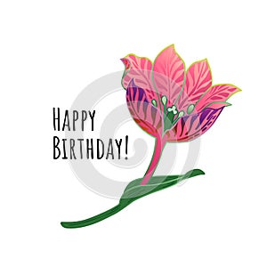 Floral Card Happy Birthday Congratulation. Pink Flower Vector Illustration. EPS10