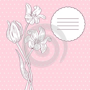 Floral card with tulips