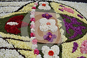 Floral carpet, festivity of Corpus Christ religious,