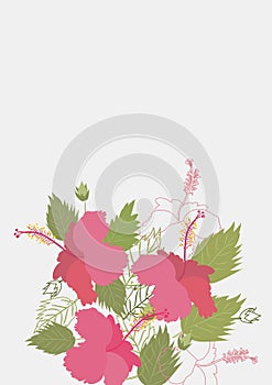 Floral Clean Template with bouquets of flowers without text