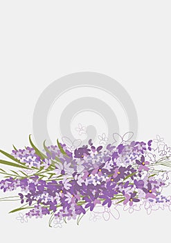 Floral Clean Template with bouquets of flowers without text