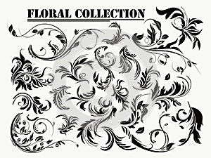 Floral collection