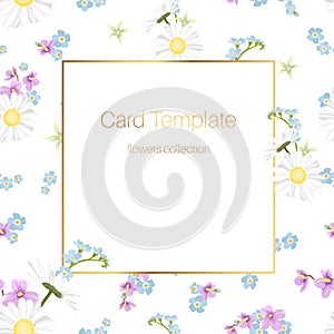 Floral collection card template. Daisy chamomile, blue forget-me-not, purple violet viola bloom blossom.