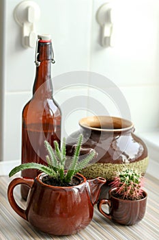 Floral compositio with cactuses in ceramic pots, a teapot and a mug, a bottle of dark glass, kitchen, horizontal photo, dark