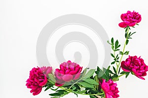 Floral composition with copy space made of red peony flowers and leaves on white background. Flat lay, top view