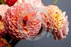 Floral composition of dahlia flowers, roses and autumn leaves.