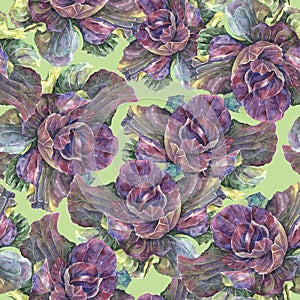 Floral composition of decor cabbage on green background. Illustration for decor.