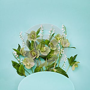 Floral composition with Helleborus nigerChristmas rose flowers pattern on mint color background. Flat lay, top view. Spring