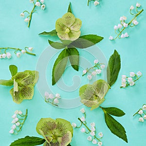 Floral composition with Helleborus nigerChristmas rose flowers pattern on mint color background. Flat lay, top view. Spring