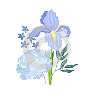 Floral Composition with Iris Flower on Green Erect Stem Vector Illustration photo