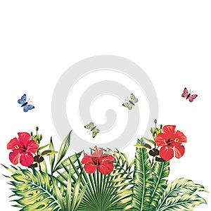 Floral composition red hibiscus butterflies tropical plants whit