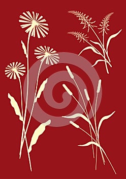 Floral compositions - vector