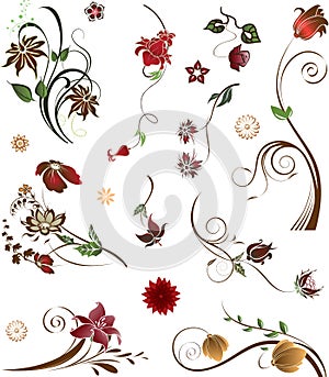 Floral compositions. Vector illustration