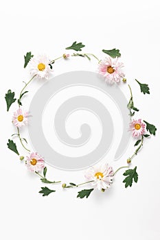 Floral concept. wreath of pink chrysanthemum flowers and green leaves on a white background. flat lay, copy space, vertical frame