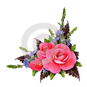 Floral corner arrangement with begonia and small blue flowers