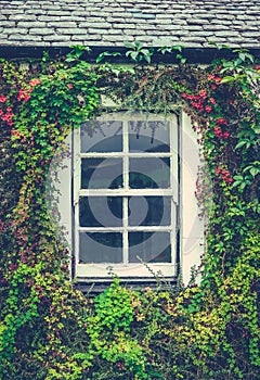 Floral Cottage Window