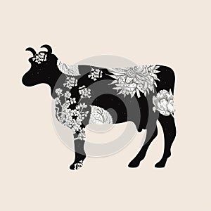 Floral cow silhouette. Vector illustration. Farm animal. Agriculture.