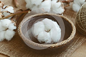 Floral decor with dry cotton flower in vintage wooden bowl photo