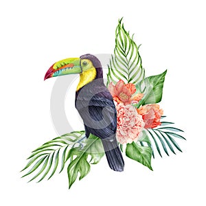 Floral decor with palm leaves and toucan bird. Watercolor illustration. Hand drawn tropical flowers with exotic jungle