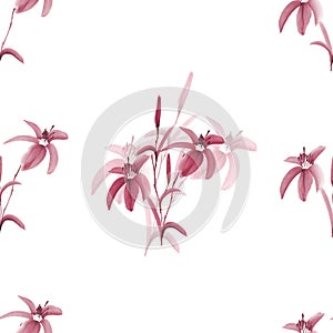 Floral decoration. Birthday card. Blossoming pink flowers of lily on a white background. Seamless pattern. Watercolor
