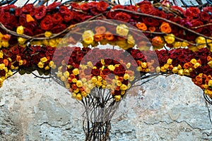 Floral decoration on garden house