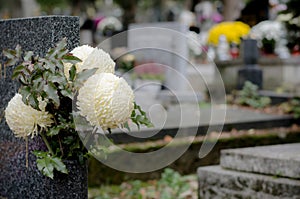 Floral decoration on grave during All Saints Day in the cemetery