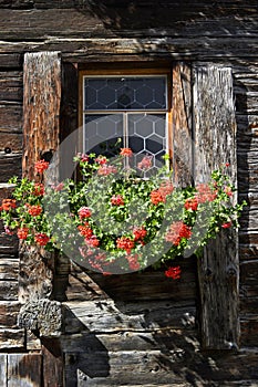 floral decoration in the window of a Swiss chalet, Valais, Switzerland