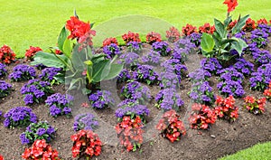 Floral decorative garden