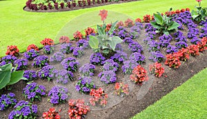 Floral decorative garden