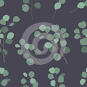 Floral decorative seamless pattern of Eucalyptus silver dollar tree twig on dak grey background. Green leaves foliage