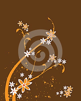 A floral Design Background