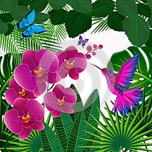 Floral design background. Orchid flowers with bird, butterflies.