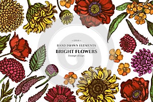 Floral design with colored poppy flower, gerbera, sunflower, milkweed, dahlia, veronica