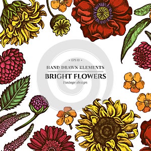 Floral design with colored poppy flower, gerbera, sunflower, milkweed, dahlia, veronica