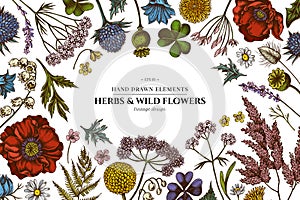 Floral design with colored shepherd`s purse, heather, fern, wild garlic, clover, globethistle, gentiana, astilbe