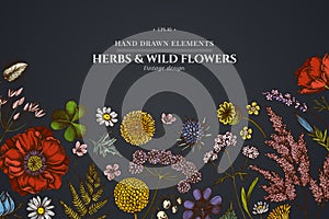 Floral design on dark background with shepherd`s purse, heather, fern, wild garlic, clover, globethistle, gentiana