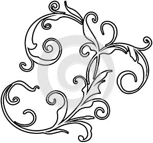 Floral Design Element