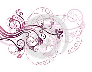 Floral design element vector illustration