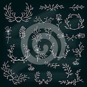 Floral design elements on the chalkboard. Floral Frame Collection. Vector