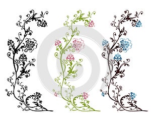 Floral design isolated