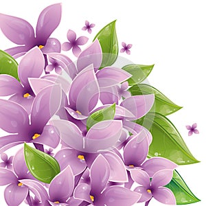 Floral design with lilac