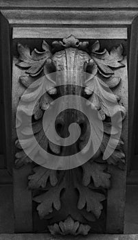 Floral detail on the capital photo