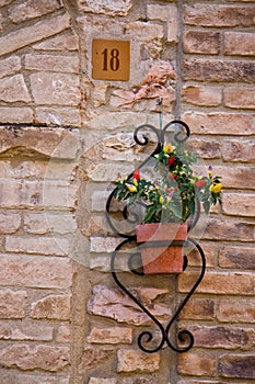 Floral detail on the wall in Assisi photo