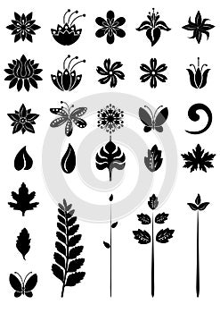 Floral dezign elements