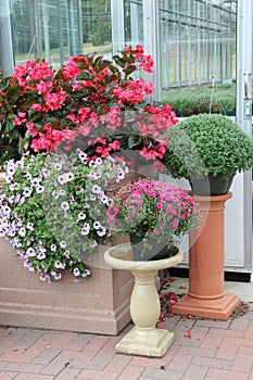 Floral display in front of greenhouse