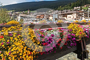 Floral display in Ortisei