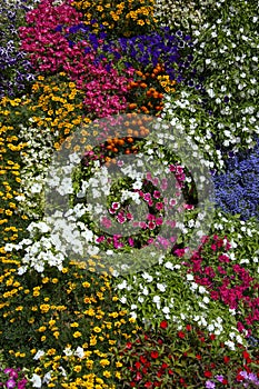 Floral Display - Ripon - United Kingdom