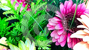 Floral Display, Youtube Channel Art Banner